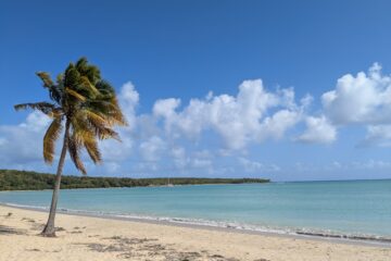Vieques